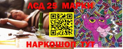прущие грибы Анапа