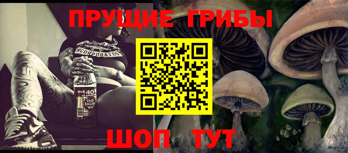 Псилоцибиновые грибы GOLDEN TEACHER Волоколамск